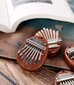 Mini Kalimba Zenwire K04 hinta ja tiedot | Lyömäsoittimet | hobbyhall.fi