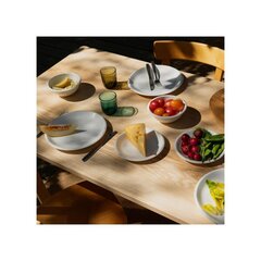 Iittala Raami Tarjoilukulho 29 cm hinta ja tiedot | Astiat | hobbyhall.fi