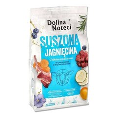 Dolina Noteci Premium kuivattu karitsa, 9 kg hinta ja tiedot | Dolina Noteci Koirat | hobbyhall.fi