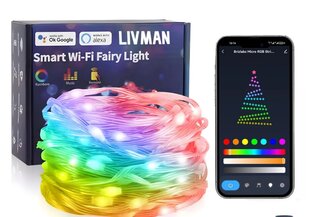 LED älykkäät bluetooth jouluvalot sovelluksella LIVMAN FTT-P100V05U, 10M hinta ja tiedot | Jouluvalot | hobbyhall.fi