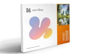 Timanttimaalaus Varvikas - In the wild LG317e 40x50 cm hinta ja tiedot | Timanttimaalaukset | hobbyhall.fi