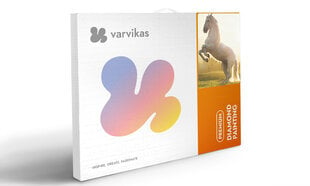 Timanttimaalaus Varvikas - Isabella LG191e 40x50 cm hinta ja tiedot | Timanttimaalaukset | hobbyhall.fi