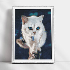 Timanttimaalaus Varvikas - Blue-eyed fluffy kitten LE126e 30x40 cm hinta ja tiedot | Timanttimaalaukset | hobbyhall.fi