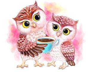 Timanttimaalaus Varvikas - Cute Owls LE121e 30x40 cm hinta ja tiedot | Timanttimaalaukset | hobbyhall.fi