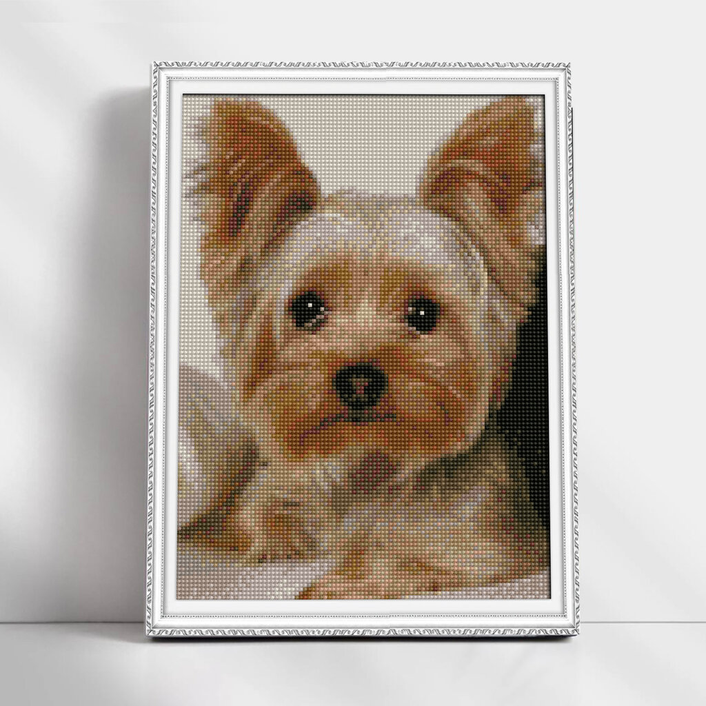 Timanttimaalaus Varvikas - Faithful friend LE128e 30x40 cm hinta ja tiedot | Timanttimaalaukset | hobbyhall.fi