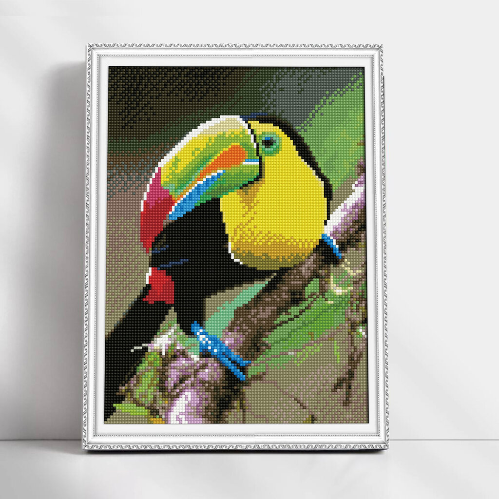 Timanttimaalaus Varvikas - Rainbow toucan LE129e 30x40 cm hinta ja tiedot | Timanttimaalaukset | hobbyhall.fi