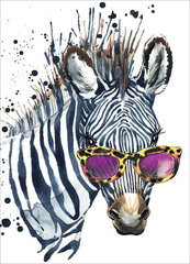 Timanttimaalaus Varvikas - Zebra with Glasses LE112e 30x40 cm hinta ja tiedot | Timanttimaalaukset | hobbyhall.fi