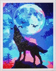 Timanttimaalaus Varvikas - Full moon LG230e 40x50 cm hinta ja tiedot | Timanttimaalaukset | hobbyhall.fi