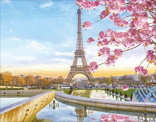 Timanttimaalaus Varvikas - Paris in Blossom LG194e 40x50 cm hinta ja tiedot | Timanttimaalaukset | hobbyhall.fi