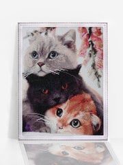 Timanttimaalaus Varvikas - Three Kittens LG299e 40x50 cm hinta ja tiedot | Timanttimaalaukset | hobbyhall.fi