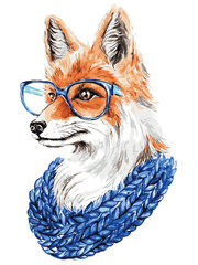 Maalaus numeroiden mukaan TM Varvikas - Fox with Glasses ME1109e 30x40 cm hinta ja tiedot | Maalaa numeroiden mukaan | hobbyhall.fi