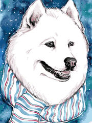 Maalaus numeroiden mukaan TM Varvikas - Fluffy White Dog ME1111e 30x40 cm hinta ja tiedot | Maalaa numeroiden mukaan | hobbyhall.fi