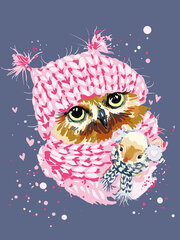 Maalaus numeroiden mukaan TM Varvikas - Winter Owl ME1118e 30x40 cm hinta ja tiedot | Maalaa numeroiden mukaan | hobbyhall.fi