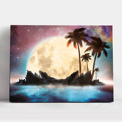 Maalaus numeroiden mukaan TM Varvikas - Magical moon ME1148e 30x40 cm hinta ja tiedot | Maalaa numeroiden mukaan | hobbyhall.fi