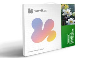 Maalaus numeroiden mukaan TM Varvikas - Tender lotus MC1123e 20x30 cm hinta ja tiedot | Maalaa numeroiden mukaan | hobbyhall.fi
