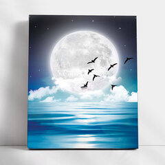 Maalaus numeroiden mukaan TM Varvikas - In the moonlight ME1147e 30x40 cm hinta ja tiedot | Maalaa numeroiden mukaan | hobbyhall.fi