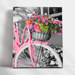 Maalaus numeroiden mukaan TM Varvikas - Pink bicycle MG2464e 40x50 cm hinta ja tiedot | Maalaa numeroiden mukaan | hobbyhall.fi