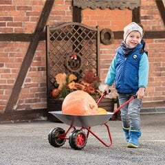 Metallinen kottikärry kahdella pyörällä Rolly Toys hinta ja tiedot | Hiekkalelut ja rantalelut | hobbyhall.fi