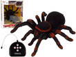 Kauko-ohjattava hämähäkki tarantula hinta ja tiedot | Poikien lelut | hobbyhall.fi