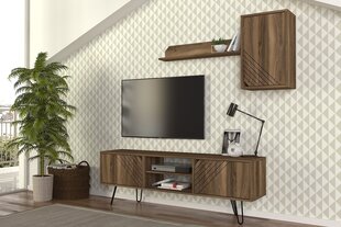 TV-kaappi Asir, 160x53x35cm, ruskea hinta ja tiedot | TV-tasot | hobbyhall.fi