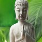 Sermi Buddha hinta ja tiedot | Sermit ja tilanjakajat | hobbyhall.fi