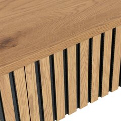 Sohvapöytä HAMPTON 120x60xH40cm, melamiini tammen kuorella hinta ja tiedot | Sohvapöydät | hobbyhall.fi