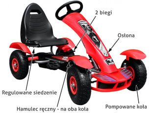 Minam kart Gokart, punainen hinta ja tiedot | Poikien lelut | hobbyhall.fi