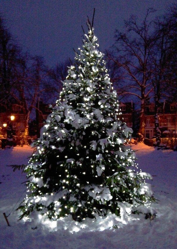 Joulukuusen valot, kylmä valkoinen 1000 LED hinta ja tiedot | Jouluvalot | hobbyhall.fi