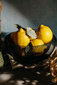 Mondex koristekulho Cedric, 24,5 cm hinta ja tiedot | Astiat | hobbyhall.fi