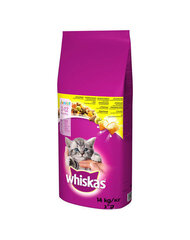 WHISKAS Junior kuivamuonaa kissanpennuille, kananpoika, 14 kg hinta ja tiedot | Kissan kuivaruoka | hobbyhall.fi