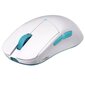 Lamzu Atlantis V2 Pro, White hinta ja tiedot | Hiiret | hobbyhall.fi