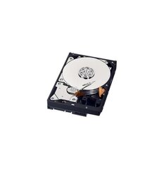 Kiintolevy Western Digital CAVIAR Blue 1TB SATA 7200RPM 64MB WD10EZEX hinta ja tiedot | Kovalevyt | hobbyhall.fi