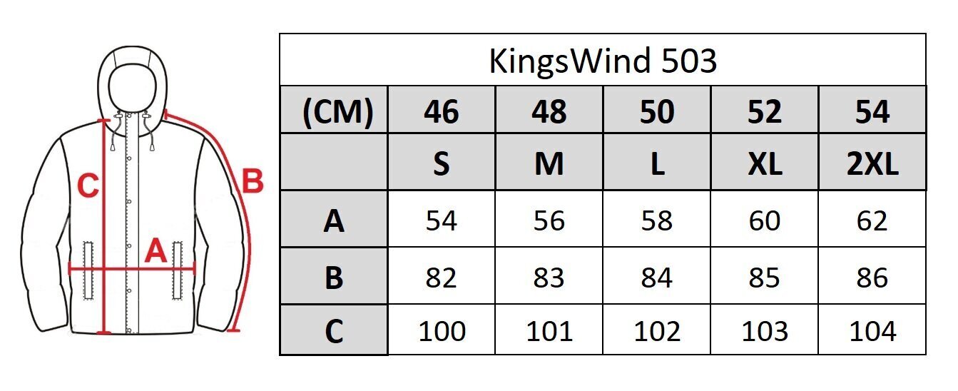 Miesten takki Kings Wind 503 hinta ja tiedot | Miesten ulkoilutakit | hobbyhall.fi