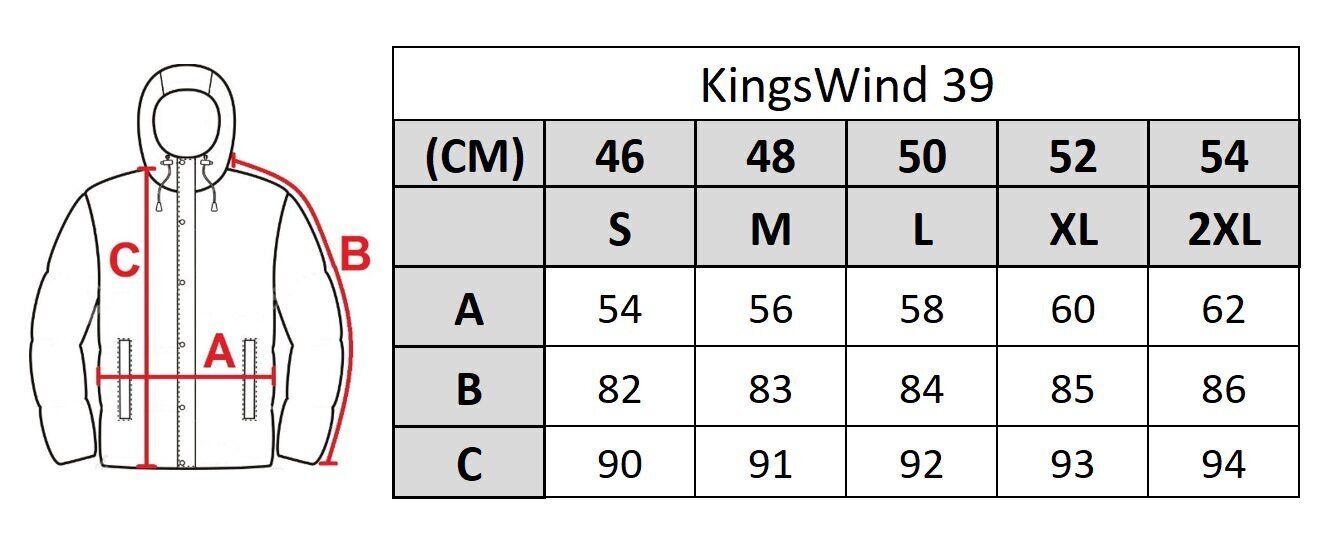 Miesten takki Kings Wind 39 hinta ja tiedot | Miesten ulkoilutakit | hobbyhall.fi