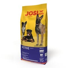 Kuivaruoka koirille Josera Josidog Active, 15 kg hinta ja tiedot | Josera Lemmikit | hobbyhall.fi