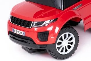 Potkuauto, punainen hinta ja tiedot | Vauvan lelut | hobbyhall.fi