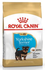 Koiranruoka Royal Canin Yorkshirenterrieri 29 Aikuinen 1,5 kg hinta ja tiedot | Koiran kuivaruoka | hobbyhall.fi