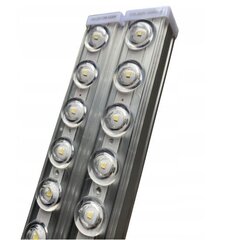 LED-lamppu, 60 cm, 60 W loisteputki, 6500K hinta ja tiedot | TK Lighting Lamput ja valaisimet | hobbyhall.fi