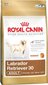 Royal Canin Labradorinnoutaja Aikuinen 12 kg. hinta ja tiedot | Koiran kuivaruoka | hobbyhall.fi