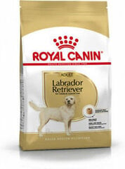 Royal Canin Labradorinnoutaja Aikuinen 12 kg. hinta ja tiedot | Koiran kuivaruoka | hobbyhall.fi