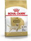 Royal Canin Labradorinnoutaja Aikuinen 12 kg. hinta ja tiedot | Koiran kuivaruoka | hobbyhall.fi