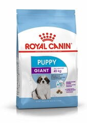 Royal Canin Giant Puppy 15kg hinta ja tiedot | Koiran kuivaruoka | hobbyhall.fi