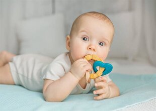 Vauvan purulelu - sydän hinta ja tiedot | Purulelut | hobbyhall.fi