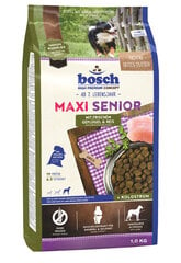 Bosch Mini Senior 2,1kg hinta ja tiedot | Koiran kuivaruoka | hobbyhall.fi