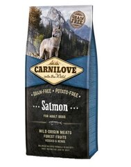 Kuivaruoka koirille Carni Love Salmon for Adult 12kg hinta ja tiedot | Carnilove Lemmikit | hobbyhall.fi