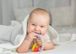 Purulelu vauvalle - Eläimet hinta ja tiedot | Purulelut | hobbyhall.fi