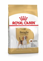 Kuivaruoka koirille ROYAL CANIN Beagle aikuinen, 12 kg hinta ja tiedot | Koiran kuivaruoka | hobbyhall.fi