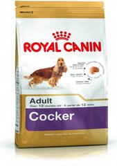 Kuivaruoka Royal Canin Cocker Spaniels Cocker Adult, 12 kg hinta ja tiedot | Koiran kuivaruoka | hobbyhall.fi