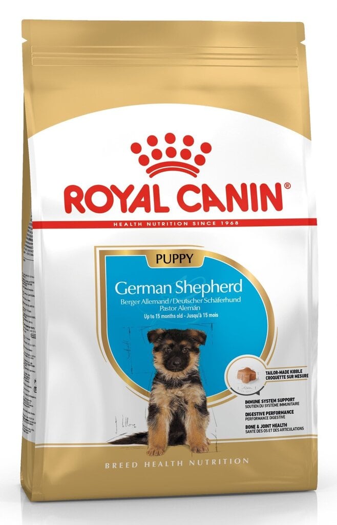 Kuivaruoka Royal Canin Saksanpaimenkoiran pennuille German Shepherd junior,  12 kg hinta 