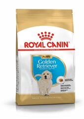 Kuivaruoka Royal Canin Golden Retriever pennuille Junior, 12 kg hinta ja tiedot | Koiran kuivaruoka | hobbyhall.fi